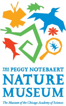 peggy-notebaert-nature-museum.jpg